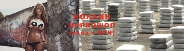 индика Белоозёрский