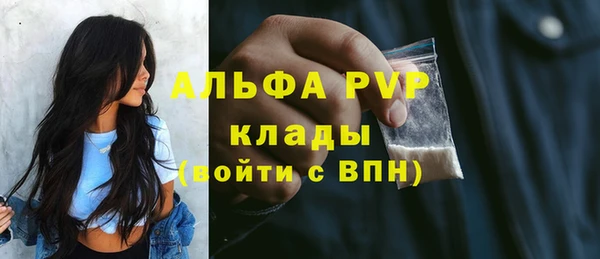 крисы Белокуриха