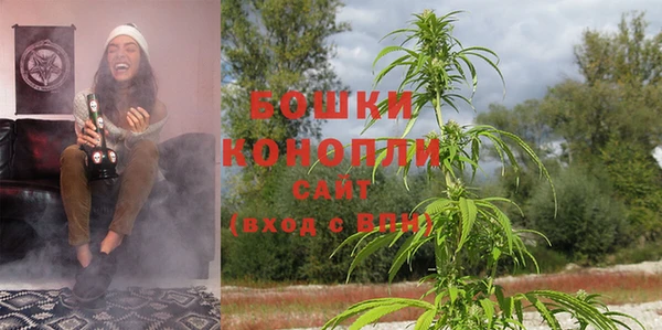 индика Белоозёрский