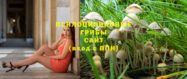 индика Белоозёрский