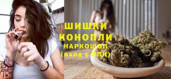 индика Белоозёрский