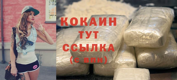 индика Белоозёрский
