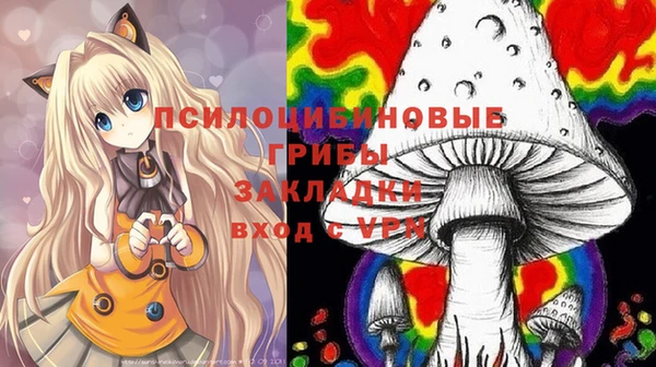 индика Белоозёрский