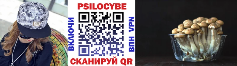 Псилоцибиновые грибы мицелий Шлиссельбург