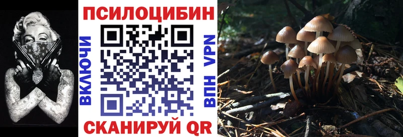 hydra ССЫЛКА  что такое   Шлиссельбург  Псилоцибиновые грибы Cubensis 